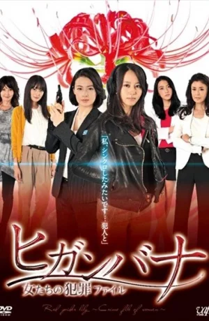 Дорама Следствие ведут женщины-детективы онлайн